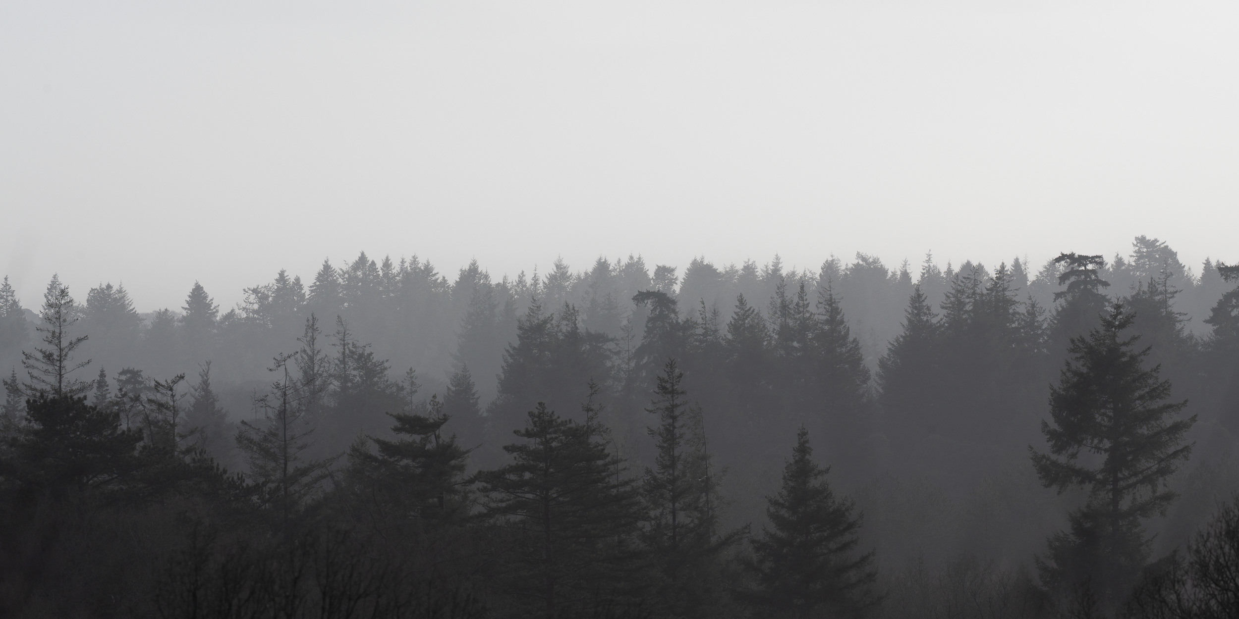 Landscapes gallery